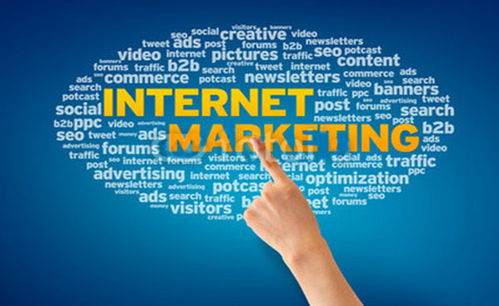 網(wǎng)絡(luò)營銷技巧與品牌推廣之道 策略、技術(shù)與實(shí)踐